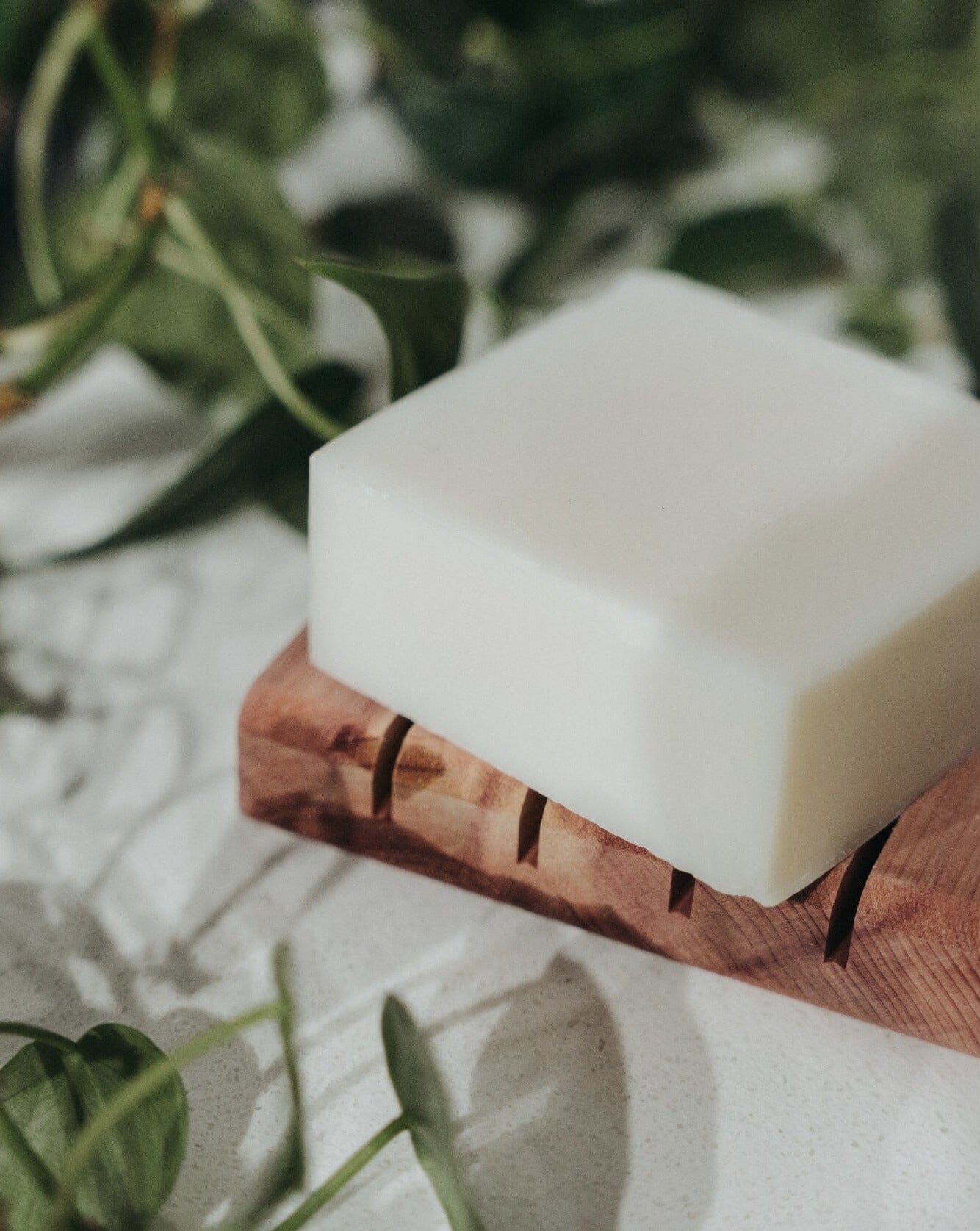 (Buy 3 Get 1 Free) Solid Dish Soap Bar | Bergamot + Lime | 4 Pack Zero Waste MVMT