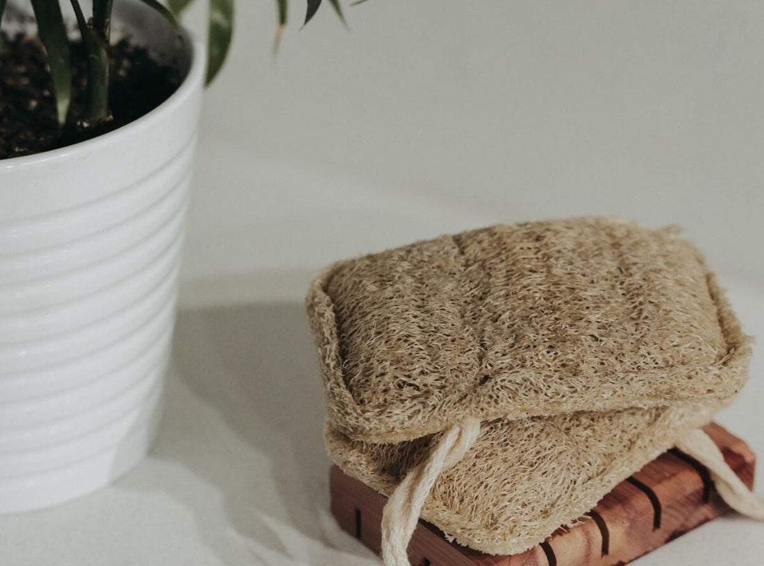 Loofah Sponges: The Natural Way to Exfoliate