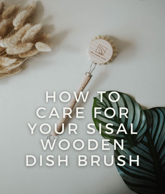 Wooden Dish Brush Care Guide
