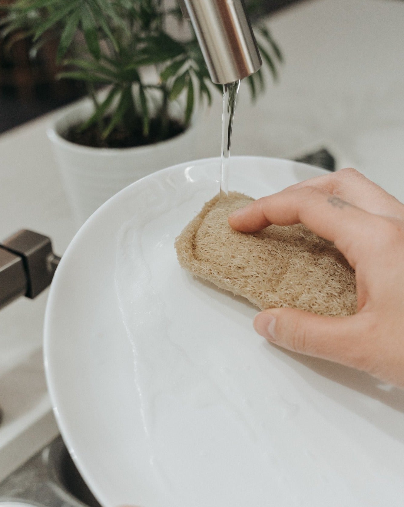 3 Pack Natural Loofah Sponge Zero Waste MVMT