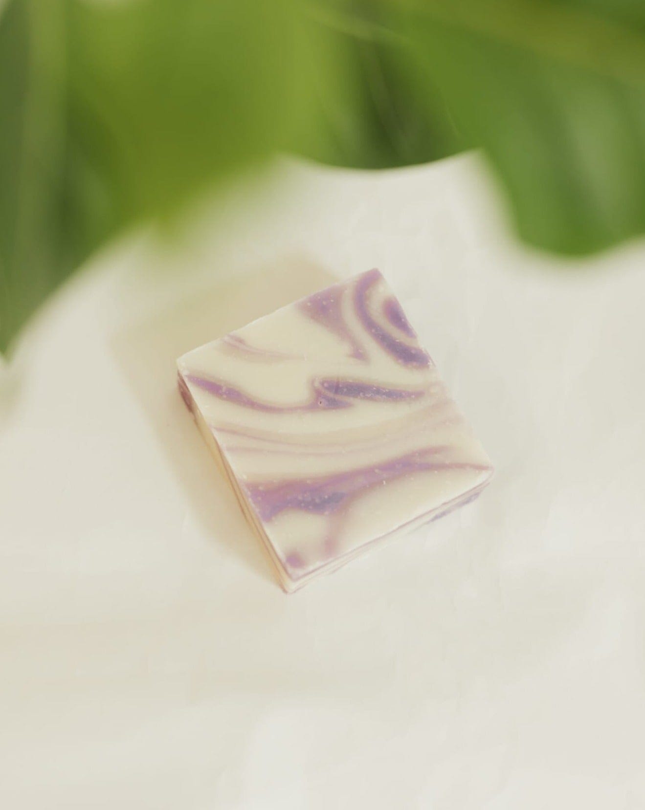 Natural Bar Soap | Lavender + Bergamot Zero Waste MVMT 