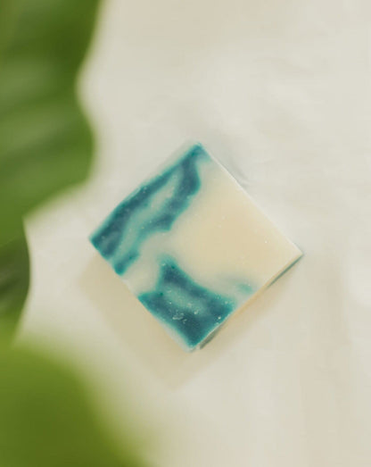 Natural Bar Soap | Tea Tree + Mint Zero Waste MVMT 